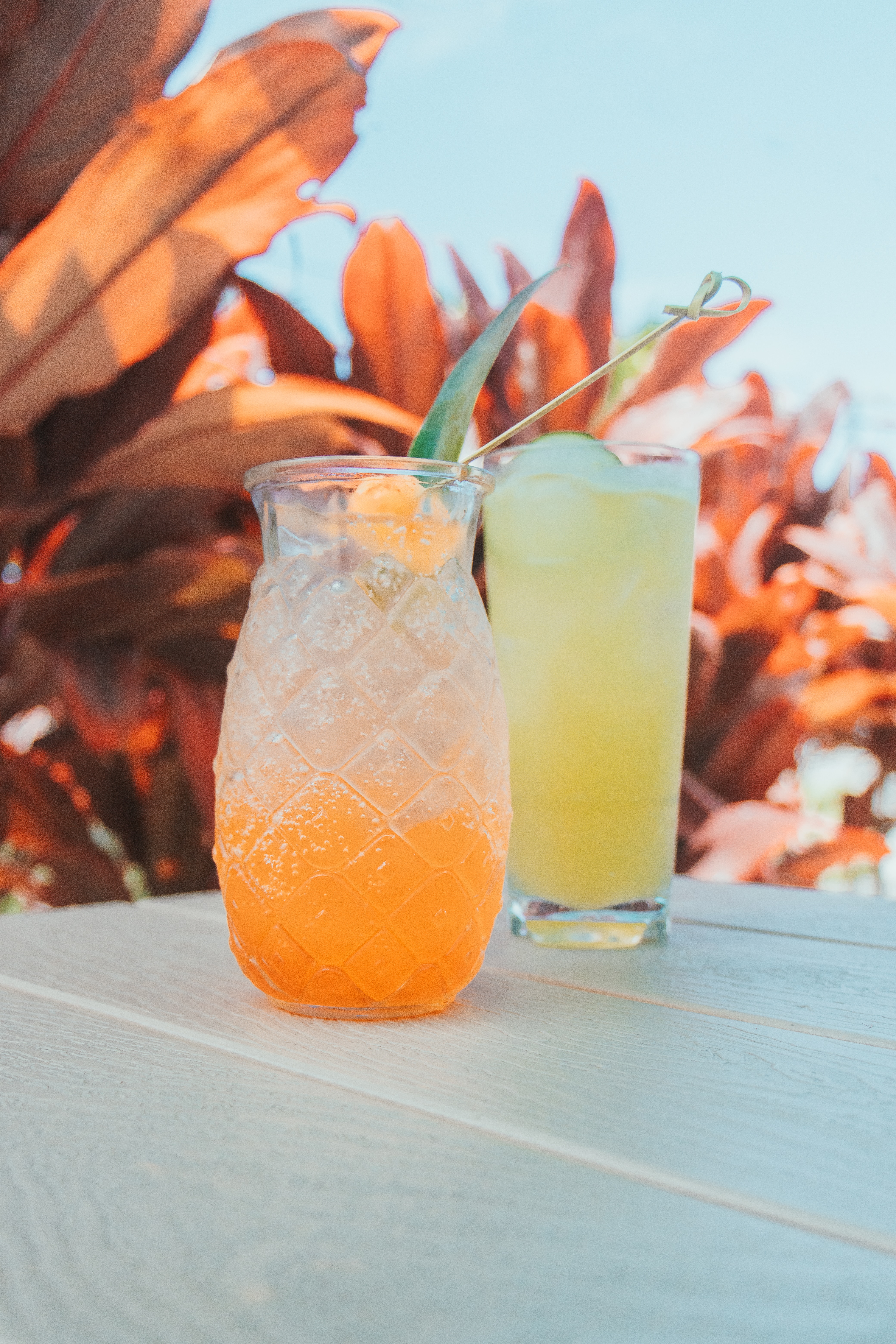 500 Best Backyard Bar Sign Name Ideas