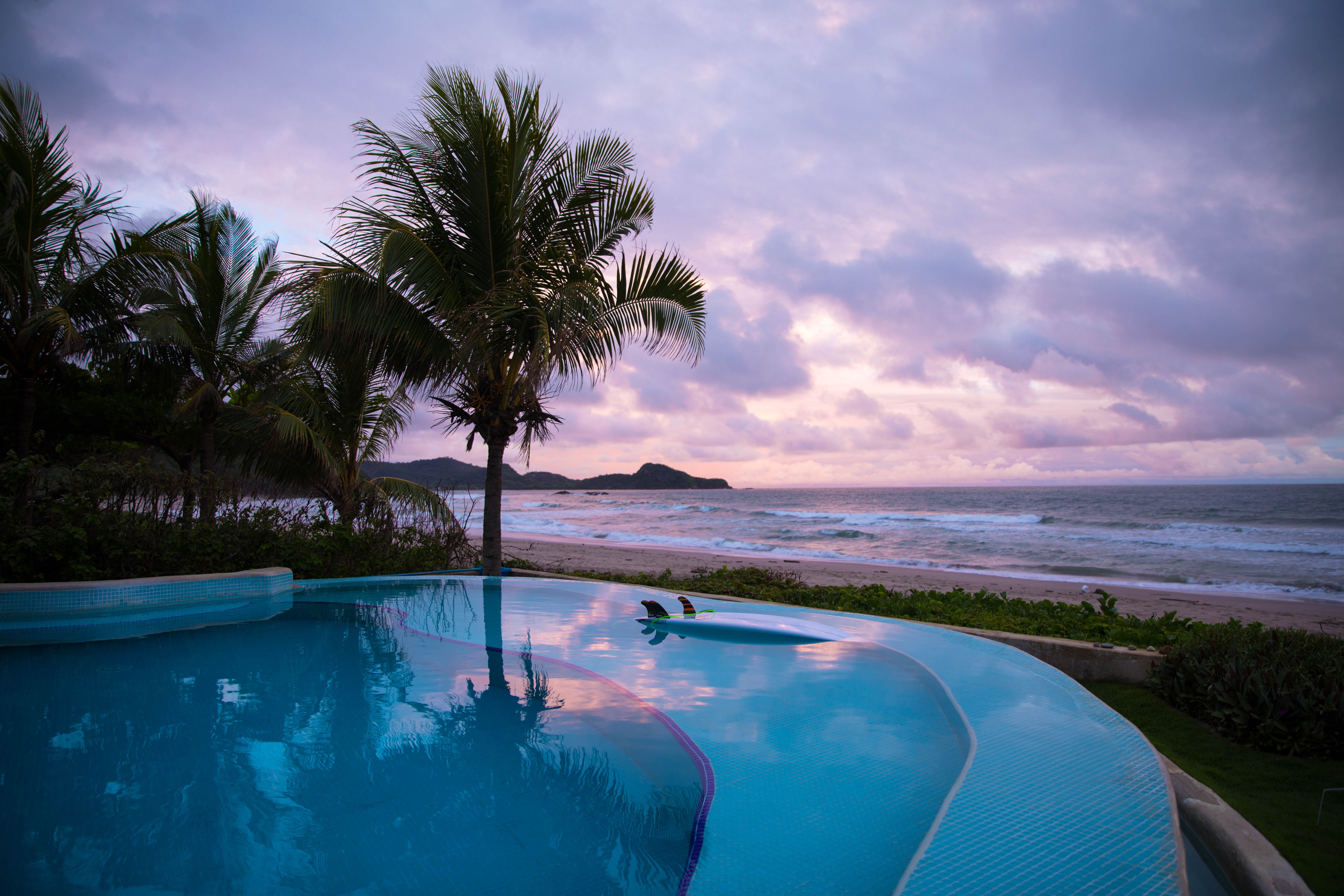 20 Best Trees to Plant Around a Swimming Pool