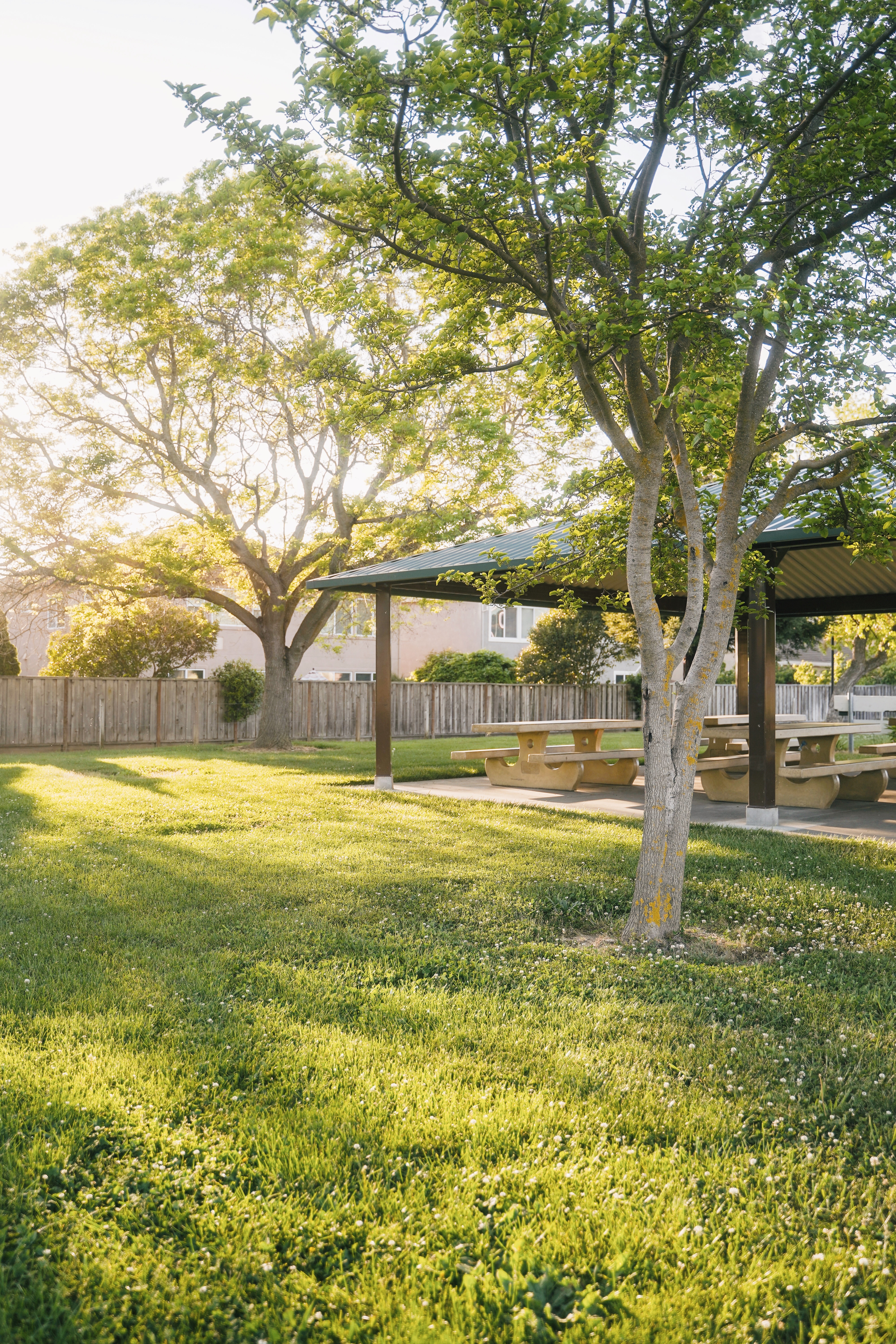 Low-Maintenance Landscaping Ideas for a Front Yard that Wows